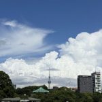 スワンボートも元気なく