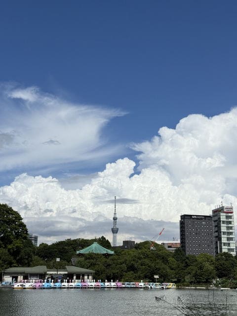 スワンボートも元気なく