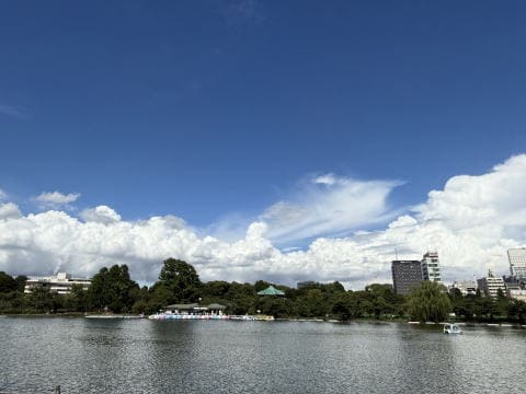 スワンボートも元気なく