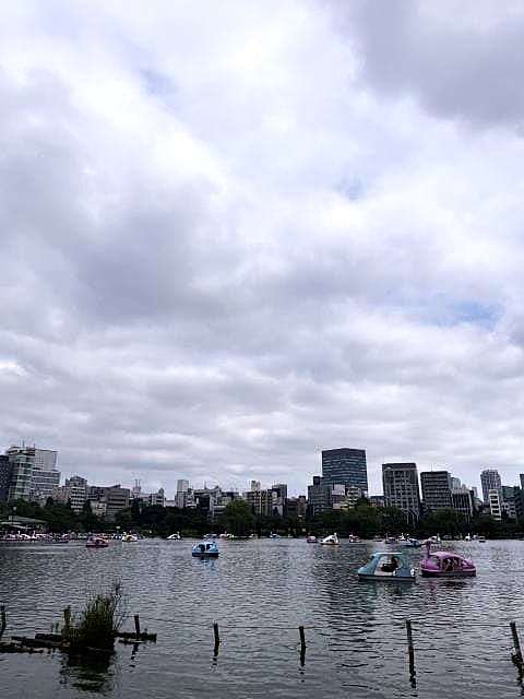不忍池は人多し スワンボートも行列で