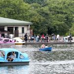 不忍池は人多し スワンボートも行列で