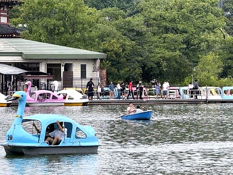 不忍池は人多し スワンボートも行列で
