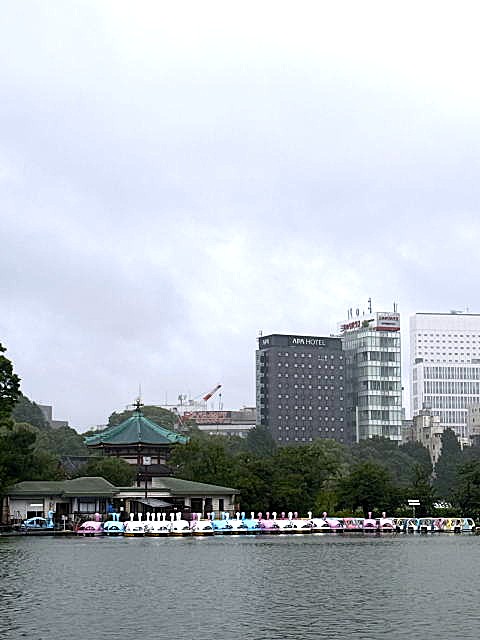 不忍池の雨が降ったりやんだりで