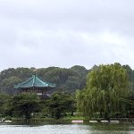 不忍池の雨が降ったりやんだりで