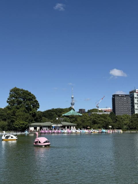 まばらなスワンボートの不忍池