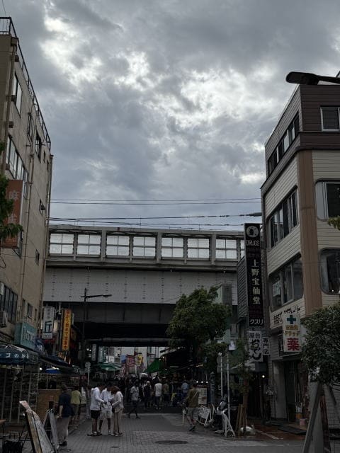 上野 混雑状況