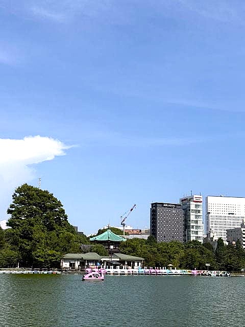 蝉の声 不忍池