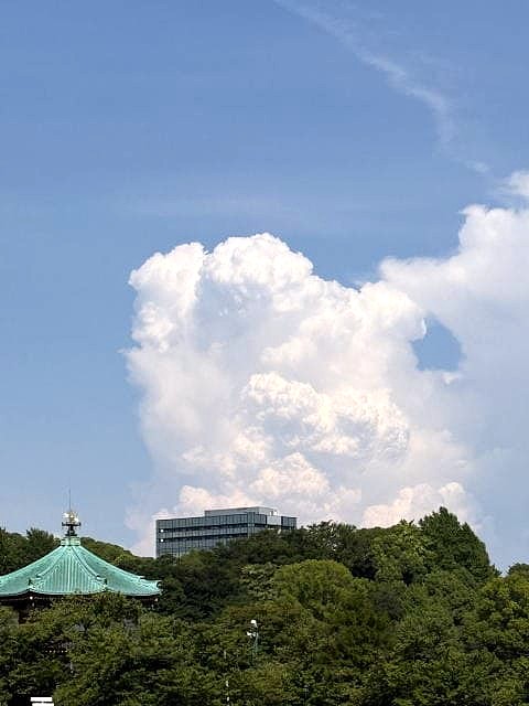 蝉の声 不忍池
