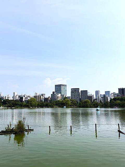 空虚な不忍池