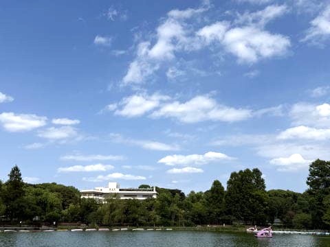 不忍池で写真撮影会