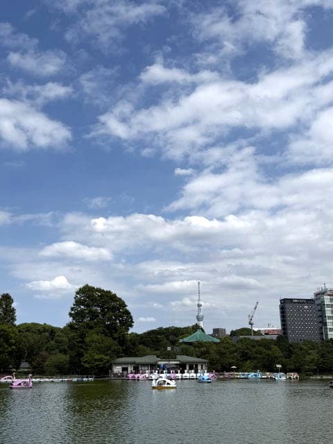 不忍池で写真撮影会