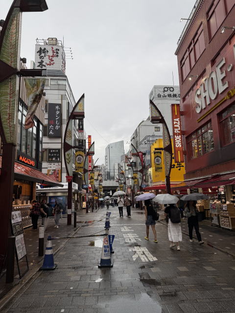 雨が降ったりやんだりの中、上野アメ横を歩く観光客の様子