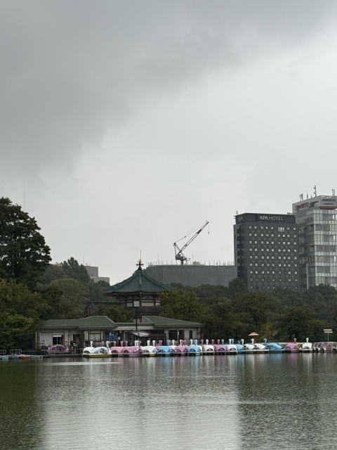 不忍池のボート桟橋と弁天堂。雨の上野で静かに並ぶスワンボート。