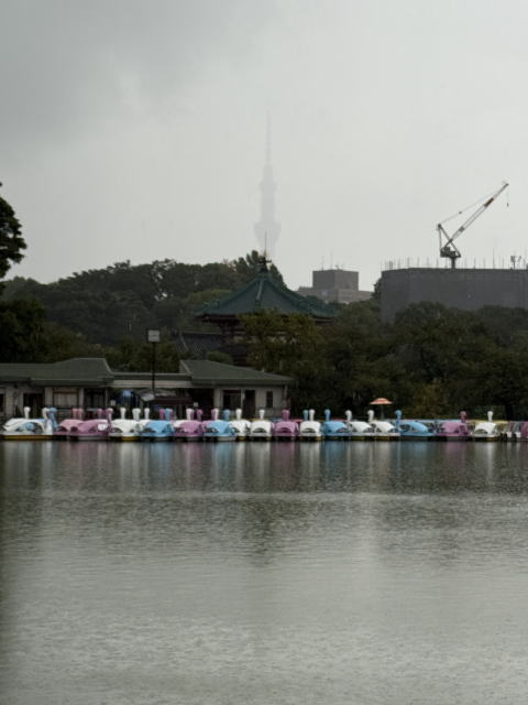 雨に煙る不忍池と弁天堂。奥にスカイツリーがうっすら見える上野の風景。