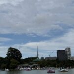 不忍池に浮かぶスワンボートと青空の風景