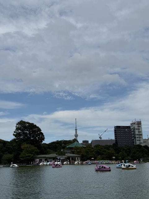 不忍池に浮かぶスワンボートとスカイツリーの景色