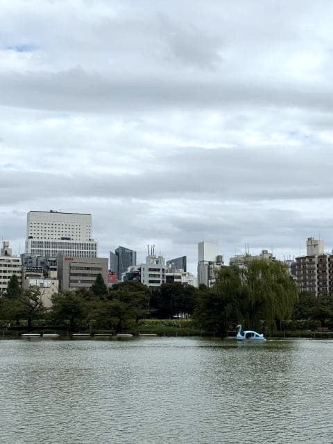 くもり空の下に広がる不忍池とビル群の風景
