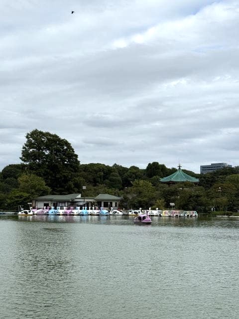 不忍池に並ぶスワンボートと弁天堂の風景