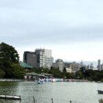 不忍池とスワンボートが浮かぶ秋の日の風景