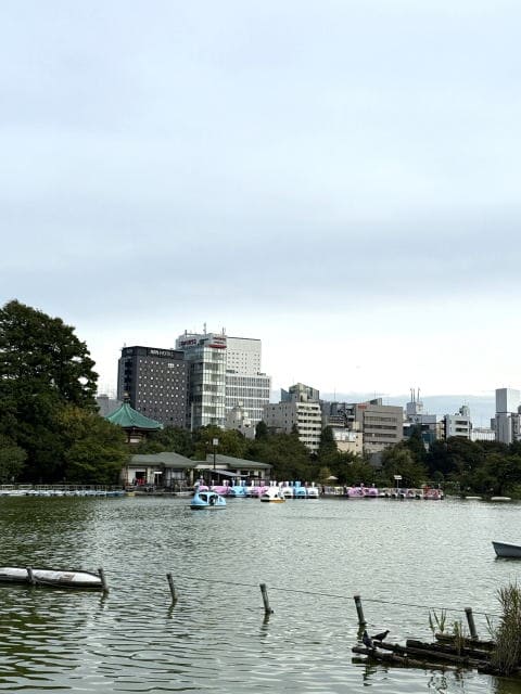 不忍池の柳越しに見えるスカイツリー