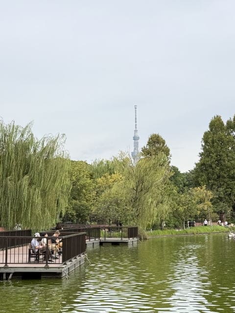 不忍池とボートハウス周辺の風景