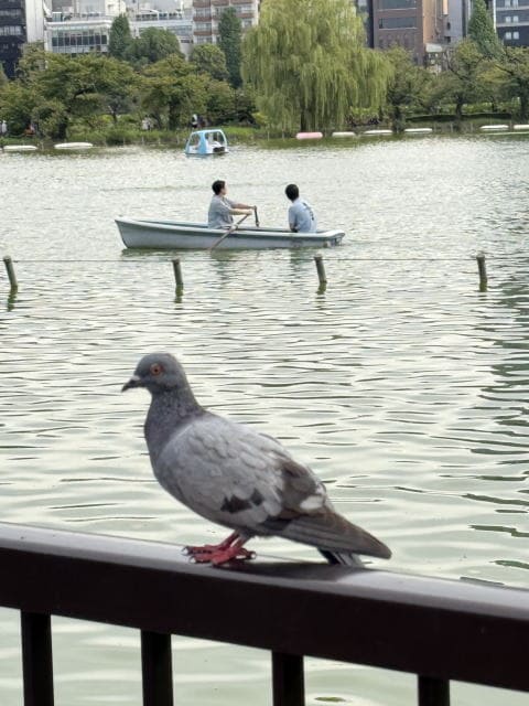 不忍池のハトとボートに乗る人々