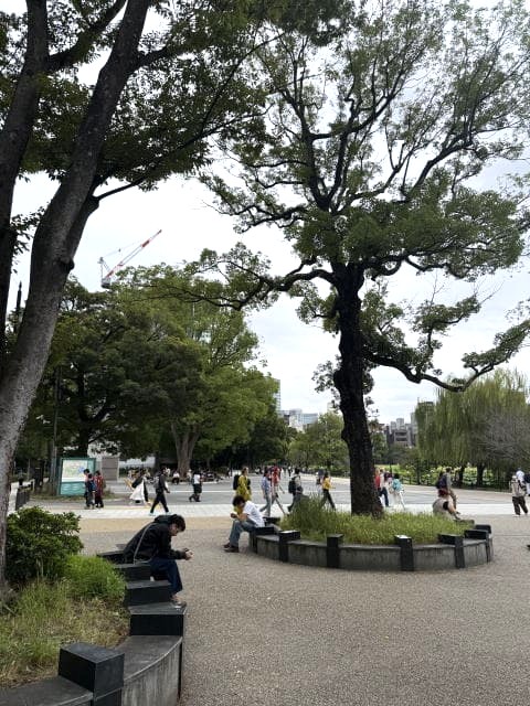 不忍池入口付近 ベンチでくつろぐ人々と大きな木