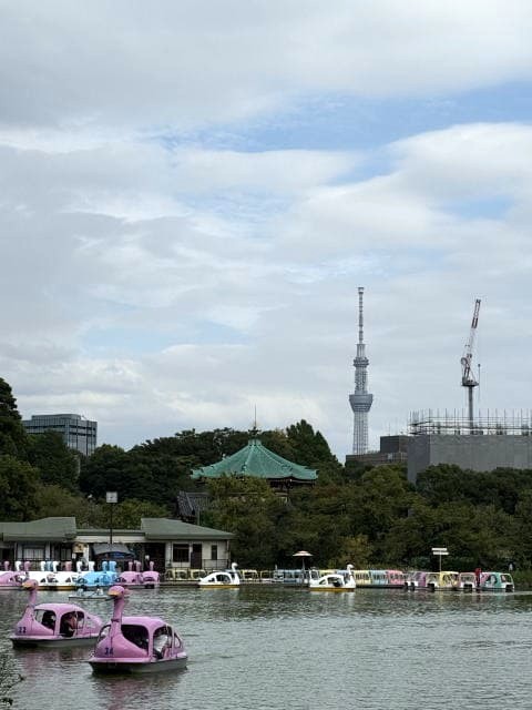 不忍池のスワンボートとスカイツリーの景色