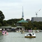 不忍池のスワンボートと上野公園から見えるスカイツリー