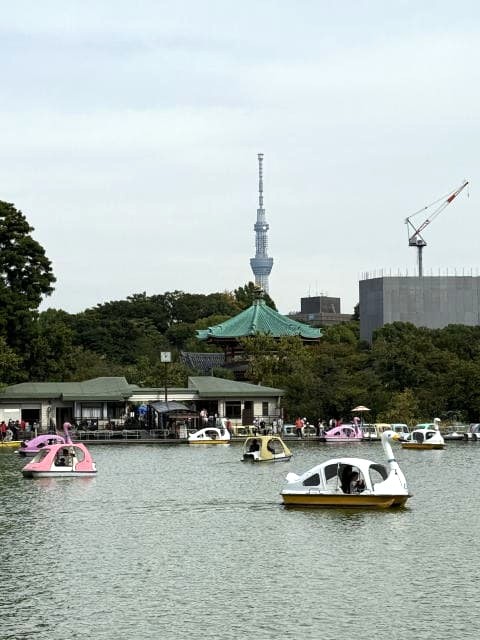 不忍池のスワンボートと上野公園から見えるスカイツリー