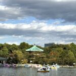秋の不忍池 弁天堂とスワンボートの風景