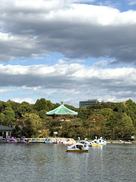 弁天堂とスワンボート 秋の不忍池の穏やかな風景