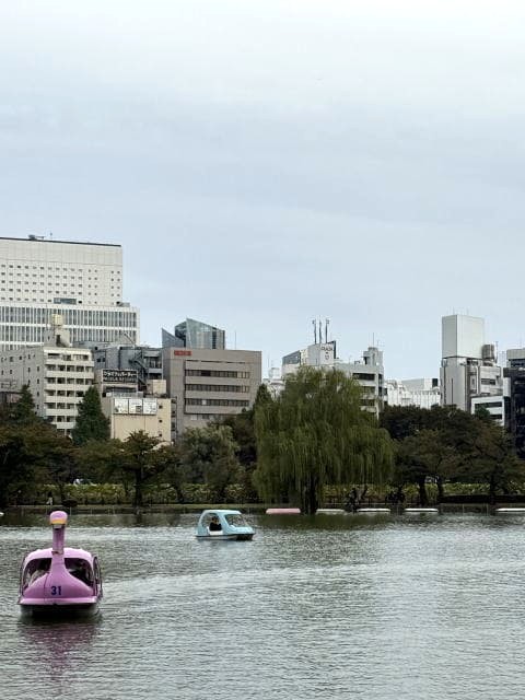 不忍池に浮かぶピンクと水色のスワンボート。奥には秋色の木々とビル群。