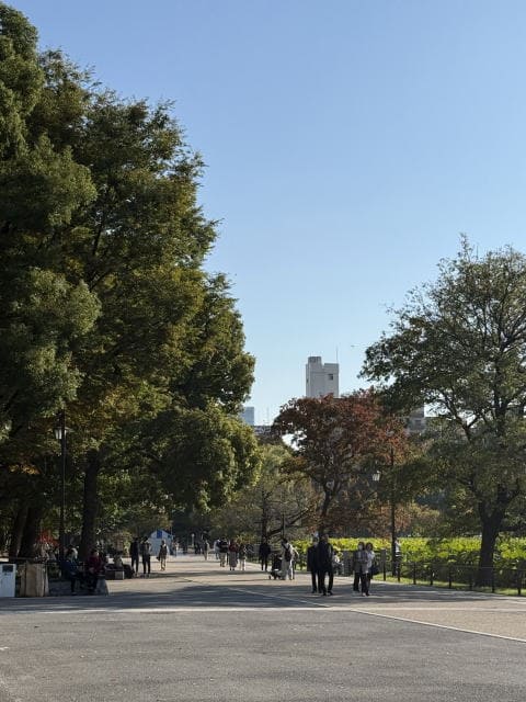 秋の不忍池の遊歩道と紅葉し始めた木々