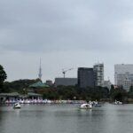 曇り空の不忍池に浮かぶスワンボートとスカイツリー。秋の静けさを感じる午後の風景