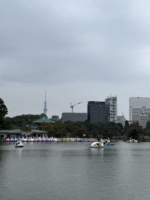 曇り空の不忍池に浮かぶスワンボート。遠くにスカイツリーが見える秋の風景