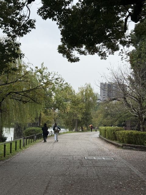 不忍池の遊歩道を歩く人たち。秋色の木々が並ぶ曇り空の午後