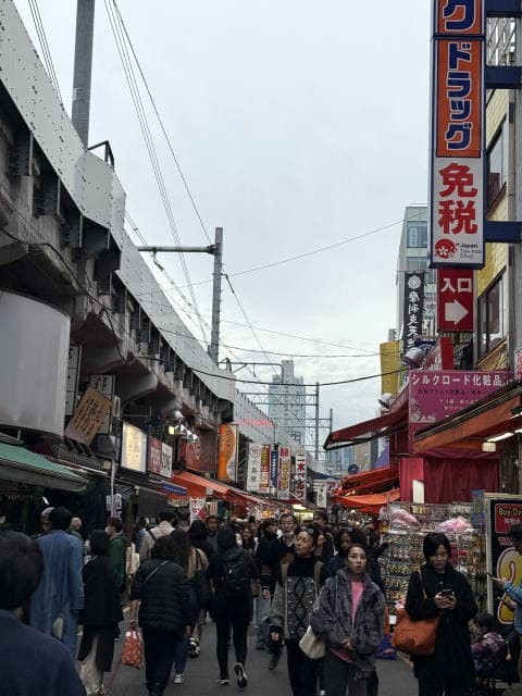 アメ横商店街の雑貨店や食品店に人が行き交う様子