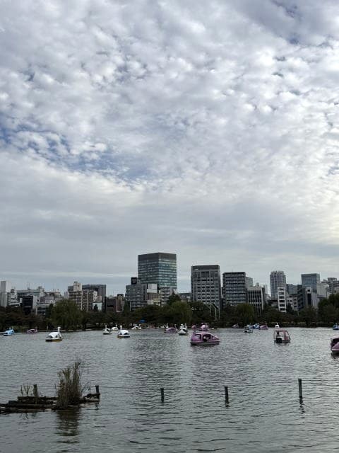 上野・不忍池に浮かぶスワンボートとビル群、くもり空の景色