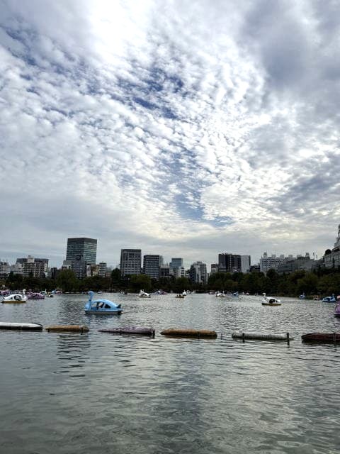 うろこ雲の下にスワンボートが点在する不忍池の広い眺め