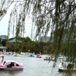 不忍池のスワンボートでにぎわう池の風景