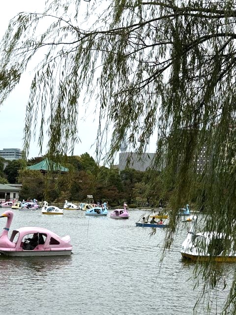 不忍池のスワンボートでにぎわう池の風景