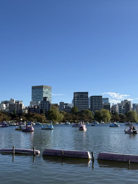 不忍池のスワンボートと秋空の街並み（上野）