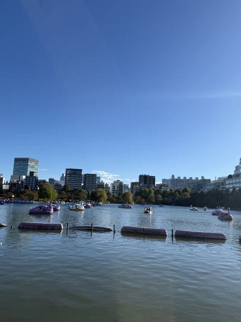 不忍池の水面とスワンボート、上野のビル群を背景にした風景