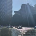 不忍池の水面に反射する光とスワンボート（上野）