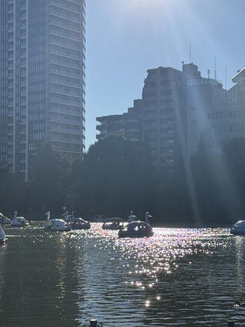 不忍池の輝く水面に反射する光とビル群（上野）