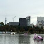 不忍池とスワンボート、遠くに見えるスカイツリー