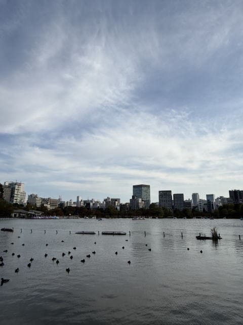 不忍池の水面とビル群、穏やかな空