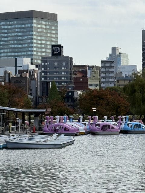 不忍池のスワンボート乗り場
