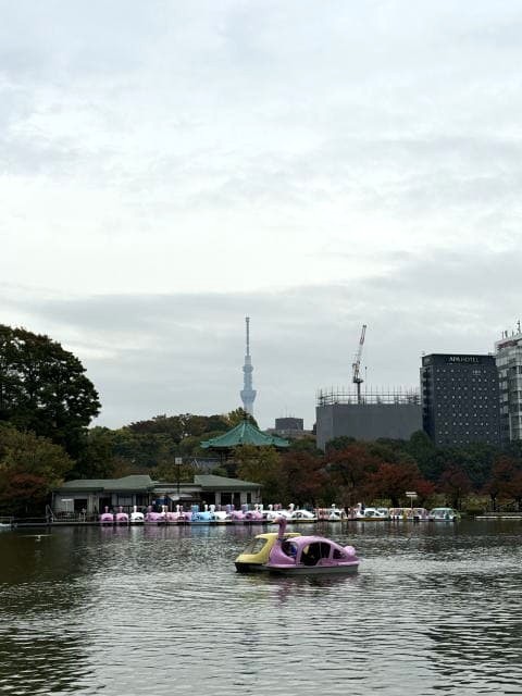 不忍池とスカイツリー、紅葉しはじめた池畔の風景